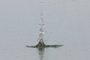 Bibione_7DMII_2015-04-26_0914
